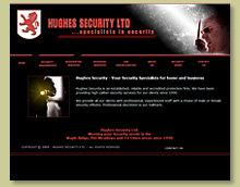 Thumbnail of Hughes Security Site